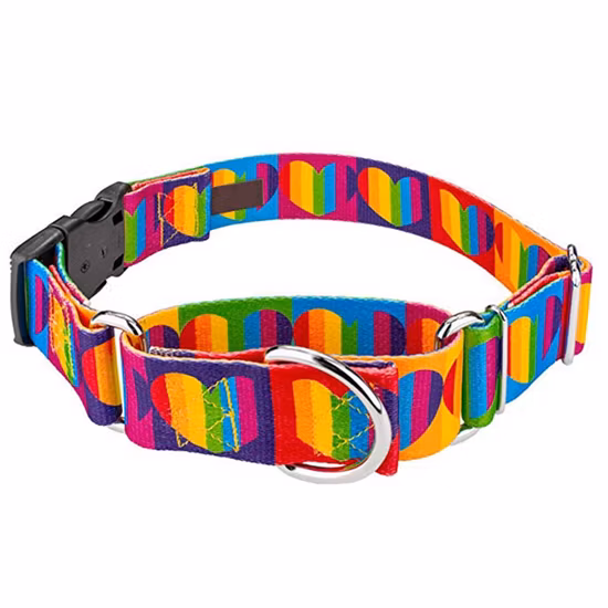 2023 Manufacture Adjustable Customizable Print Dog Collar