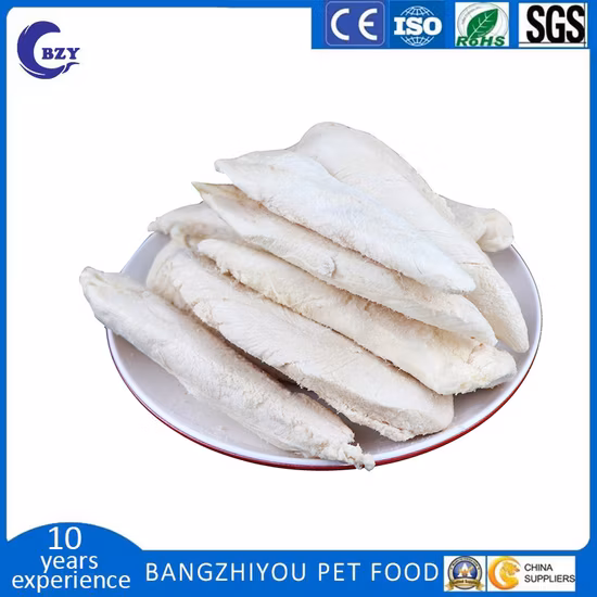 Petisland Ошейник для домашних животных Оптовая продажа товаров для домашних животных Средняя собака Плетеная нейлоновая пряжка из нержавеющей стали на заказ Новый дизайн Ошейник для дрессировки собак со змеиной пряжкой