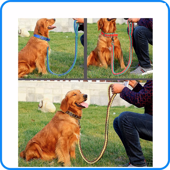 заводская цена щенка собаки нейлоновый ошейник для домашних животных (HP-107)